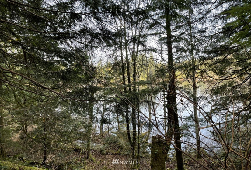 376 XX Lake Walker, Enumclaw, Washington 98022, ,Land,For Sale,Lake Walker,NWM1878949