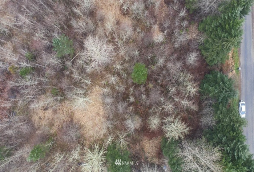 3416 138th, Tacoma, Washington 98446, ,Land,For Sale,138th,NWM1881400