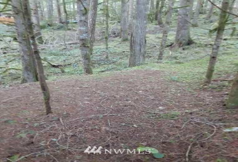 8001 Acorn, Marblemount, Washington 98267, ,Land,For Sale,Cascade River Community Park,Acorn,NWM1882516