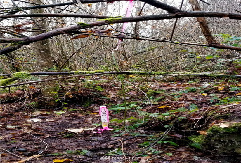 37 xx Military, Auburn, Washington 98001, ,Land,For Sale,Jovita Add,Military,NWM1882557