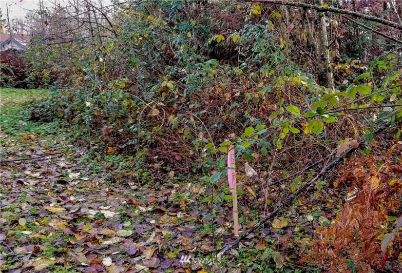 37 xx Military, Auburn, Washington 98001, ,Land,For Sale,Jovita Add,Military,NWM1882557