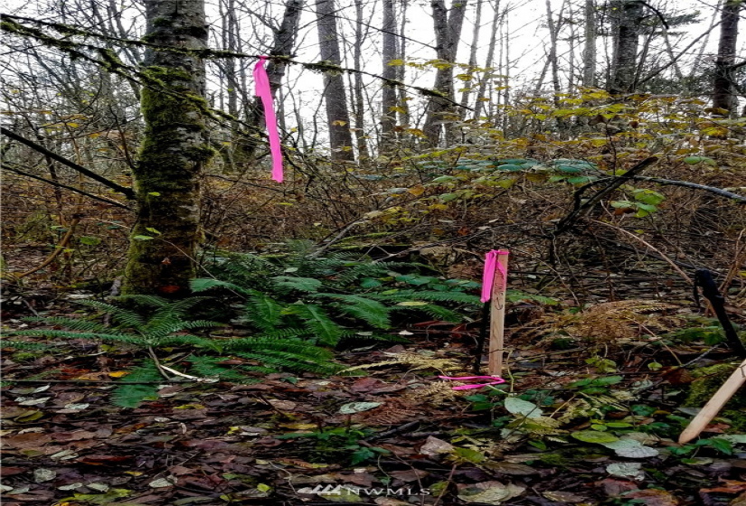 37 xx Military, Auburn, Washington 98001, ,Land,For Sale,Jovita Add,Military,NWM1882557