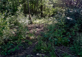 37 xx Military, Auburn, Washington 98001, ,Land,For Sale,Jovita Add,Military,NWM1882557