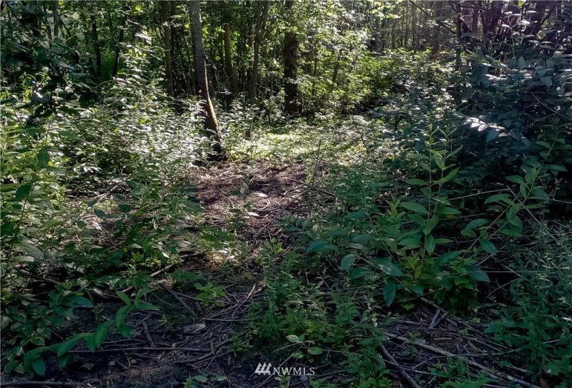 37 xx Military, Auburn, Washington 98001, ,Land,For Sale,Jovita Add,Military,NWM1882557