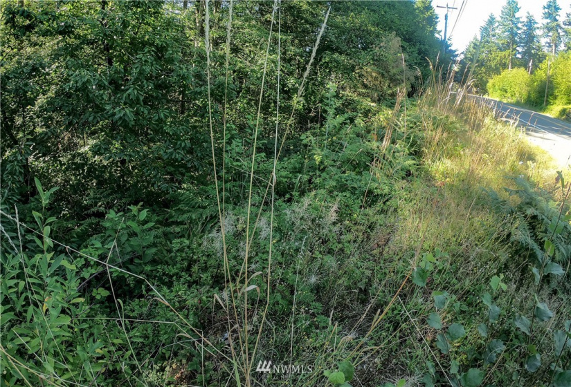 37 xx Military, Auburn, Washington 98001, ,Land,For Sale,Jovita Add,Military,NWM1882557