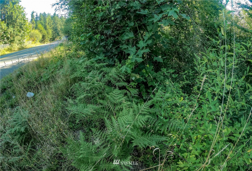 37 xx Military, Auburn, Washington 98001, ,Land,For Sale,Jovita Add,Military,NWM1882557