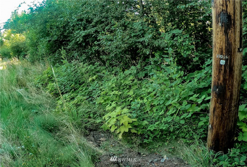 37 xx Military, Auburn, Washington 98001, ,Land,For Sale,Jovita Add,Military,NWM1882557