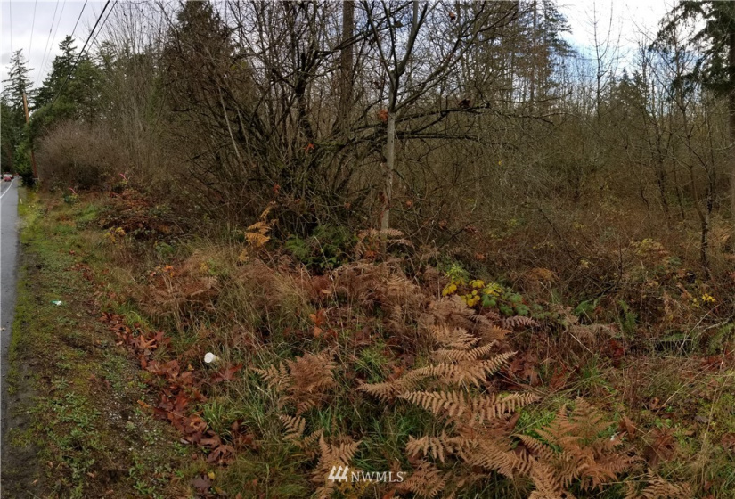 37 xx Military, Auburn, Washington 98001, ,Land,For Sale,Jovita Add,Military,NWM1882557