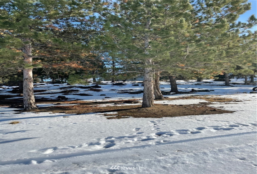 12165 Dodson Rd, Ephrata, Washington 98823, 3 Bedrooms Bedrooms, ,2 BathroomsBathrooms,Residential,For Sale,Dodson Rd,NWM1881778