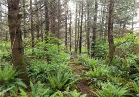 3400 Saratoga Ridge, Langley, Washington 98260, ,Land,For Sale,Saratoga Ridge Estates,Saratoga Ridge,NWM1882523