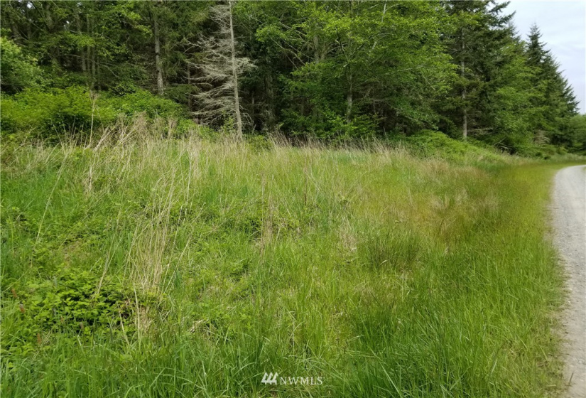 3400 Saratoga Ridge, Langley, Washington 98260, ,Land,For Sale,Saratoga Ridge Estates,Saratoga Ridge,NWM1882523