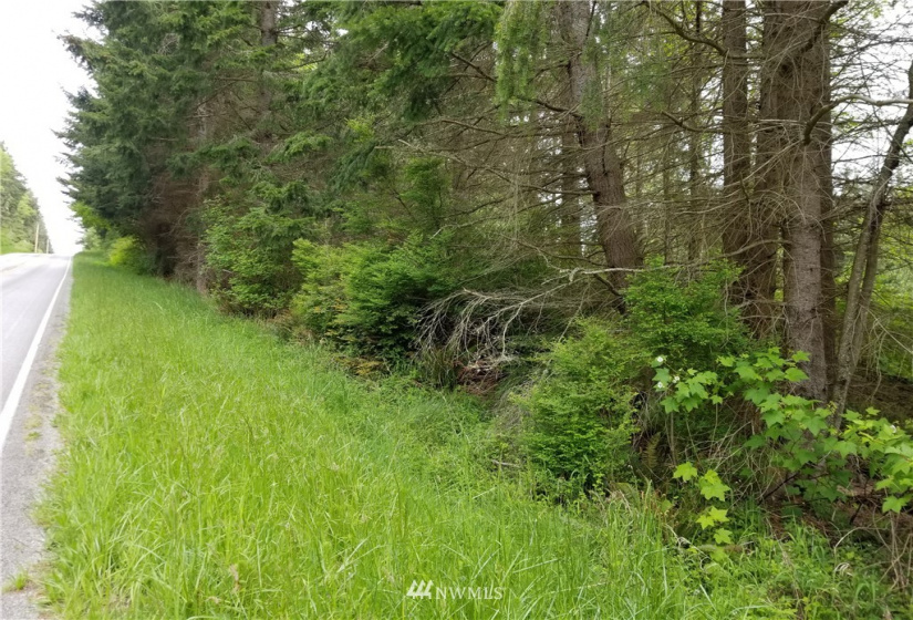 3400 Saratoga Ridge, Langley, Washington 98260, ,Land,For Sale,Saratoga Ridge Estates,Saratoga Ridge,NWM1882523
