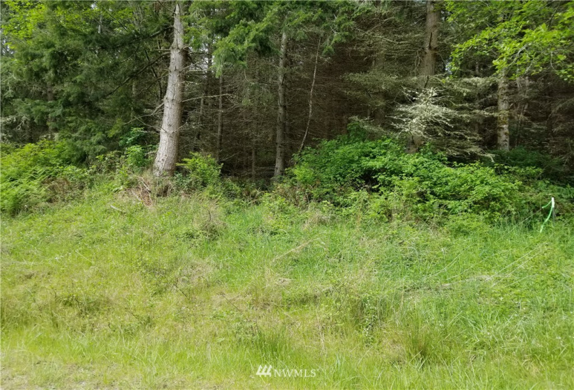 3400 Saratoga Ridge, Langley, Washington 98260, ,Land,For Sale,Saratoga Ridge Estates,Saratoga Ridge,NWM1882523