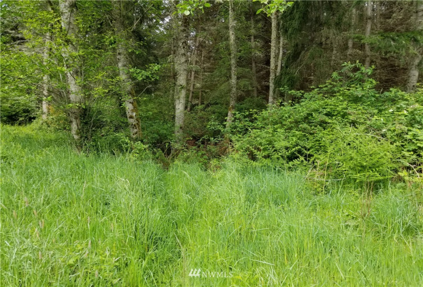 3400 Saratoga Ridge, Langley, Washington 98260, ,Land,For Sale,Saratoga Ridge Estates,Saratoga Ridge,NWM1882523