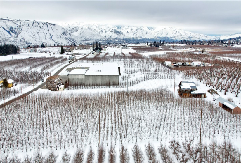 3071 4th, East Wenatchee, Washington 98802, 3 Bedrooms Bedrooms, ,1 BathroomBathrooms,Farm,For Sale,4th,NWM1882690