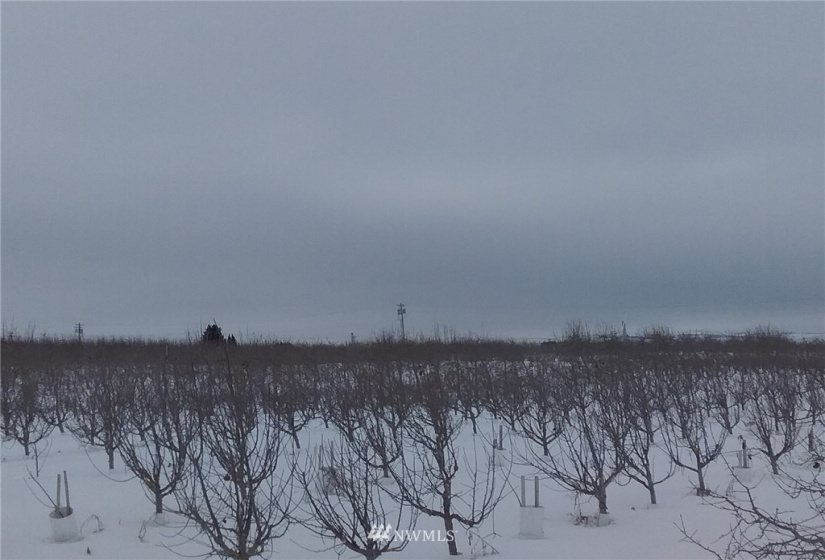 5047 4th, East Wenatchee, Washington 98802, ,Farm,For Sale,4th,NWM1882479