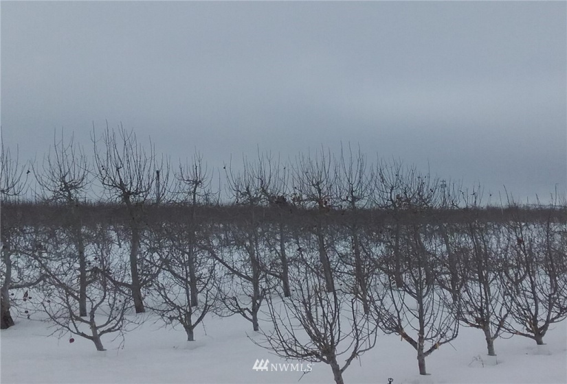 5047 4th, East Wenatchee, Washington 98802, ,Farm,For Sale,4th,NWM1882479