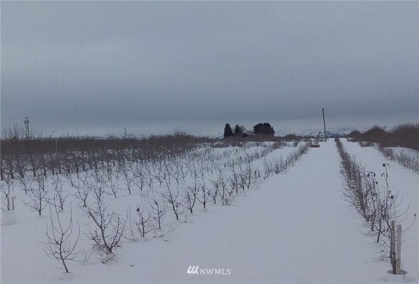 5047 4th, East Wenatchee, Washington 98802, ,Farm,For Sale,4th,NWM1882479