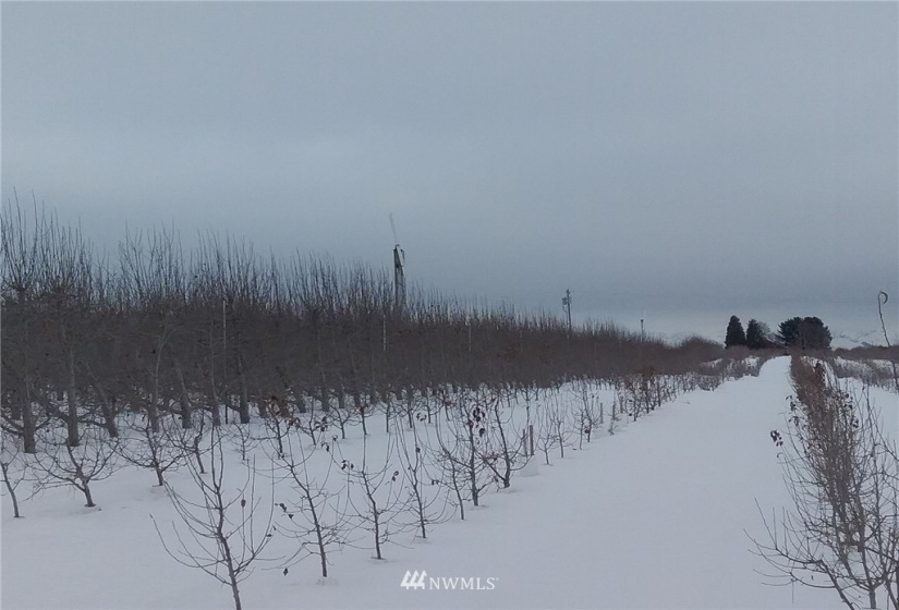 5047 4th, East Wenatchee, Washington 98802, ,Farm,For Sale,4th,NWM1882479