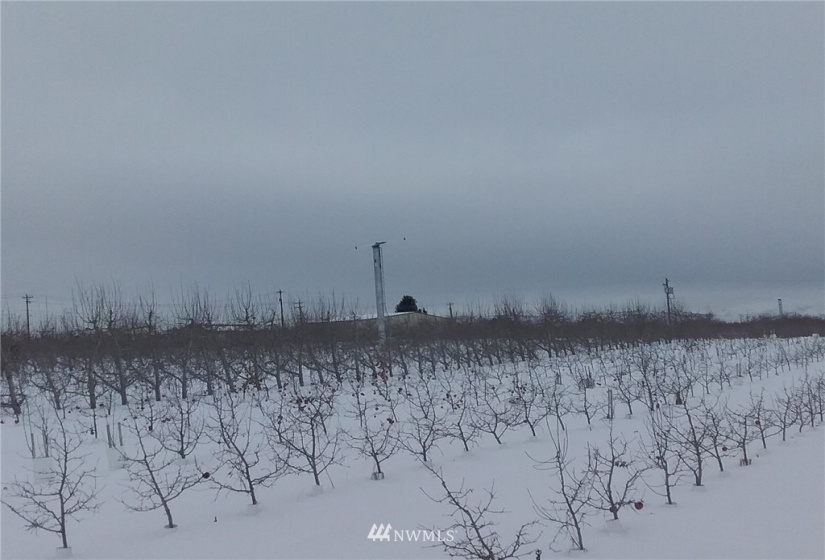 5047 4th, East Wenatchee, Washington 98802, ,Farm,For Sale,4th,NWM1882479