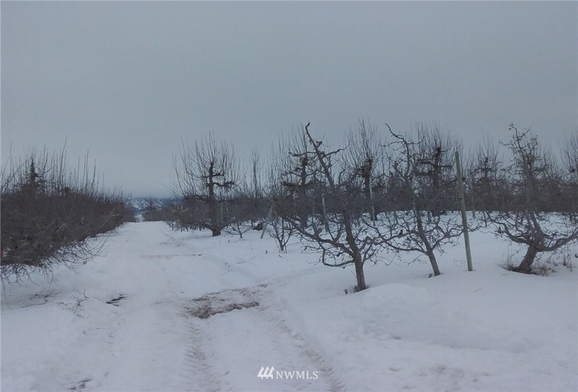 3040 4th, East Wenatchee, Washington 98802, 4 Bedrooms Bedrooms, ,Farm,For Sale,4th,NWM1882600