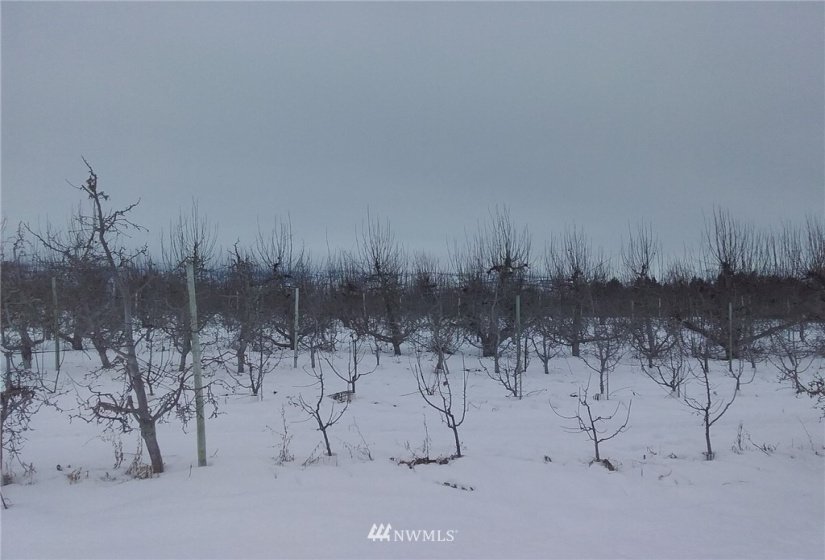 3040 4th, East Wenatchee, Washington 98802, 4 Bedrooms Bedrooms, ,Farm,For Sale,4th,NWM1882600