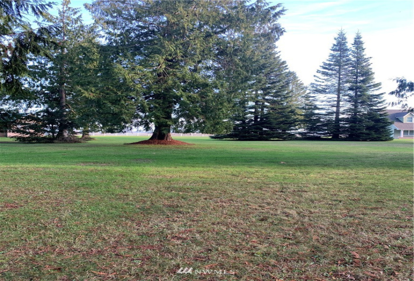 33 Point, Port Angeles, Washington 98363, ,Land,For Sale,Point,NWM1882724