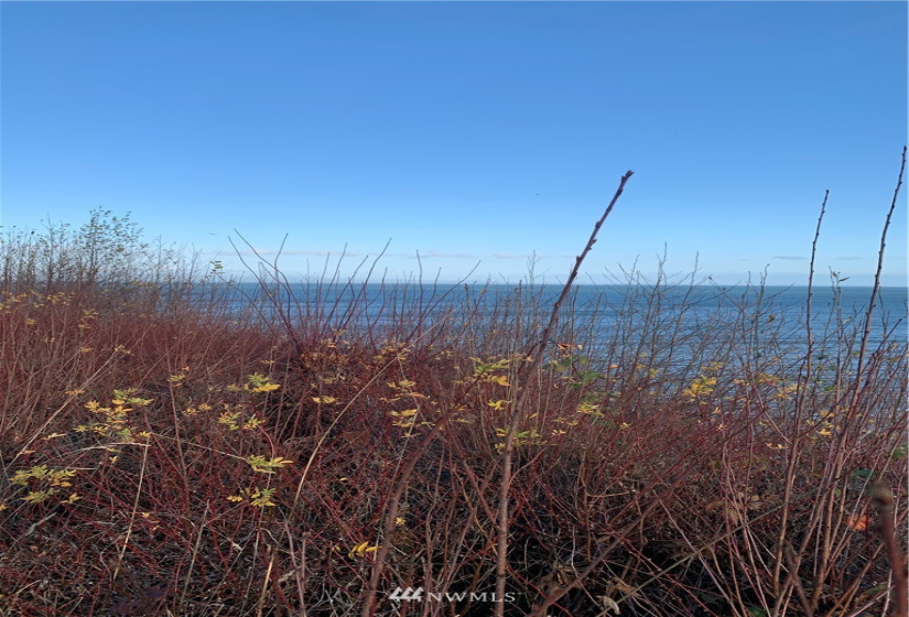 33 Point, Port Angeles, Washington 98363, ,Land,For Sale,Point,NWM1882724