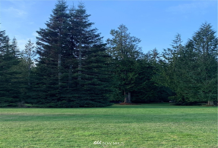 33 Point, Port Angeles, Washington 98363, ,Land,For Sale,Point,NWM1882724