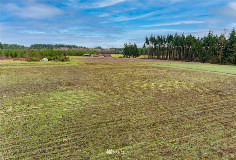 275 Meier, Winlock, Washington 98596, ,Land,For Sale,Meier,NWM1876426
