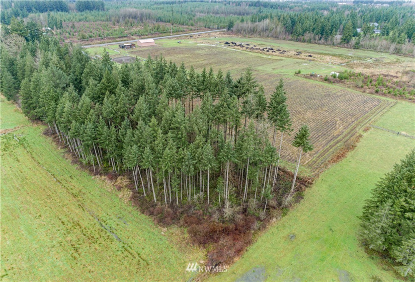 275 Meier, Winlock, Washington 98596, ,Land,For Sale,Meier,NWM1876426