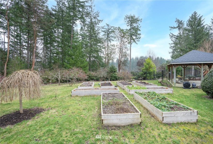 5809 Whiteman, Longbranch, Washington 98351, 3 Bedrooms Bedrooms, ,2 BathroomsBathrooms,Residential,For Sale,Whiteman,NWM1880145