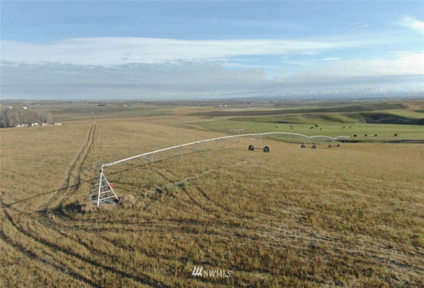 0 Butler Grade, Milton-Freewater, Oregon 97862, ,Land,For Sale,Butler Grade,NWM1882804