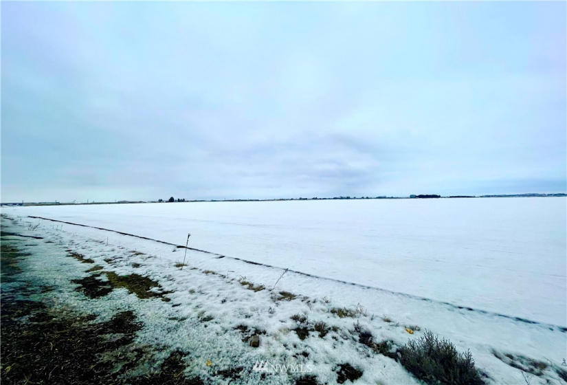 0 Wheeler, Moses Lake, Washington 98837, ,Farm,For Sale,Wheeler,NWM1882760