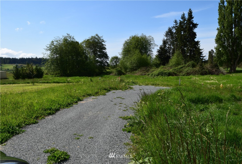 0 Mills Drive, Langley, Washington 98249, ,Land,For Sale,Mills Drive,NWM1882542