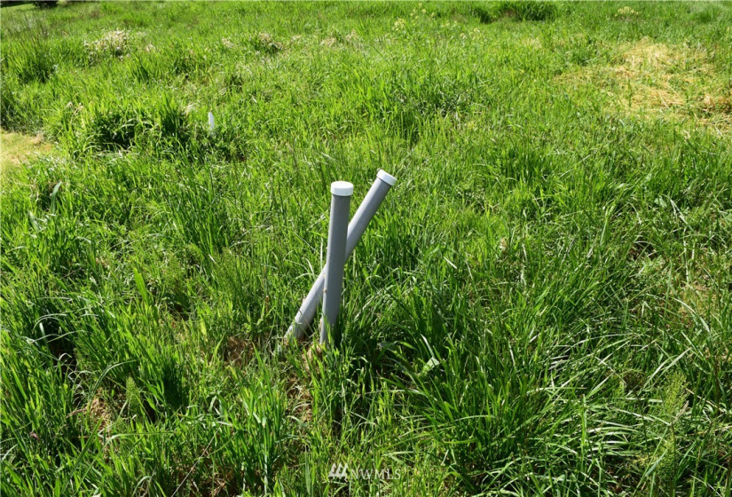 0 Mills Drive, Langley, Washington 98249, ,Land,For Sale,Mills Drive,NWM1882542