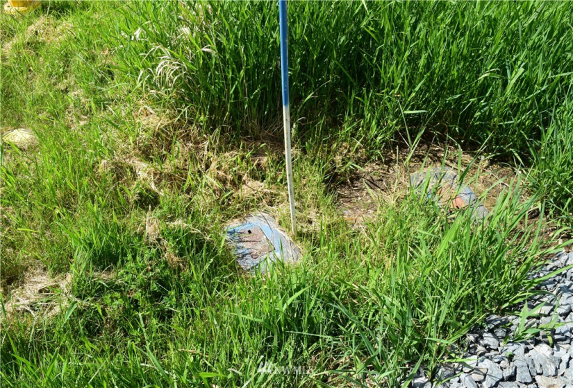 0 Mills Drive, Langley, Washington 98249, ,Land,For Sale,Mills Drive,NWM1882542