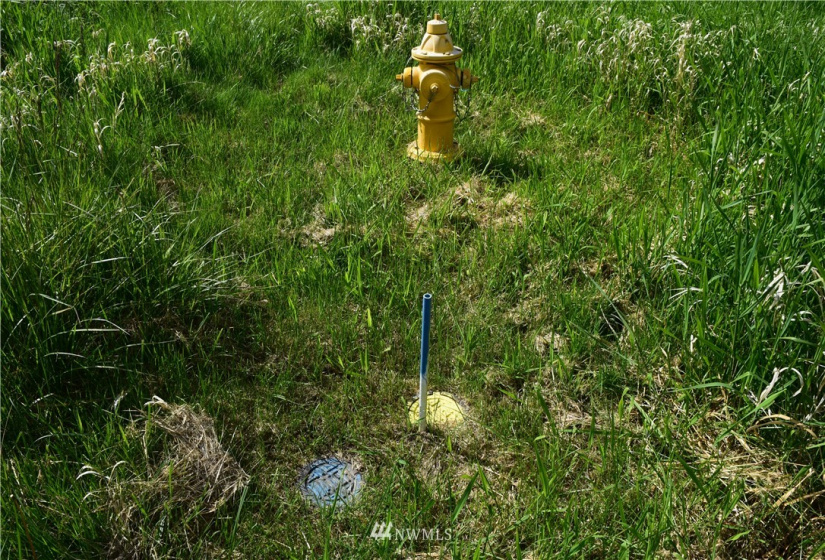 0 Mills Drive, Langley, Washington 98249, ,Land,For Sale,Mills Drive,NWM1882542