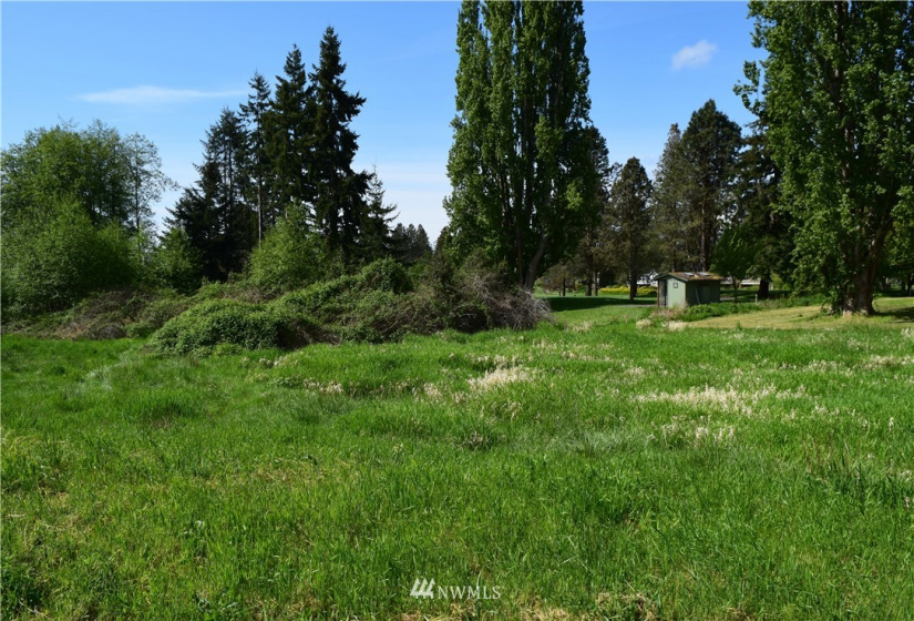 0 Mills Drive, Langley, Washington 98249, ,Land,For Sale,Mills Drive,NWM1882542
