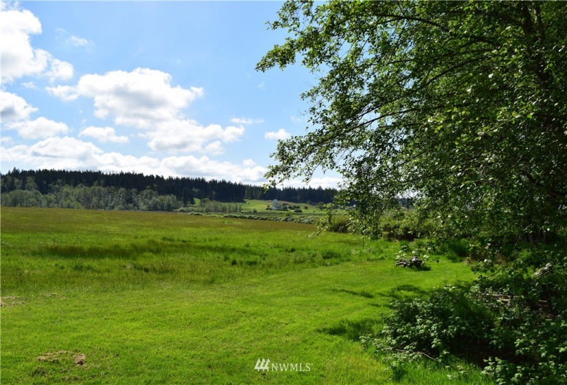 0 Mills Drive, Langley, Washington 98249, ,Land,For Sale,Mills Drive,NWM1882542