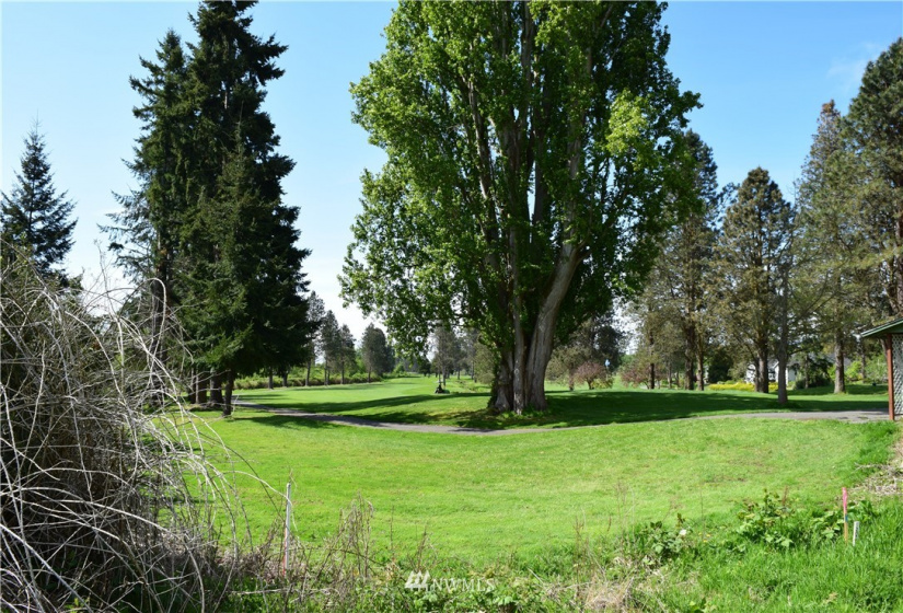0 Mills Drive, Langley, Washington 98249, ,Land,For Sale,Mills Drive,NWM1882542