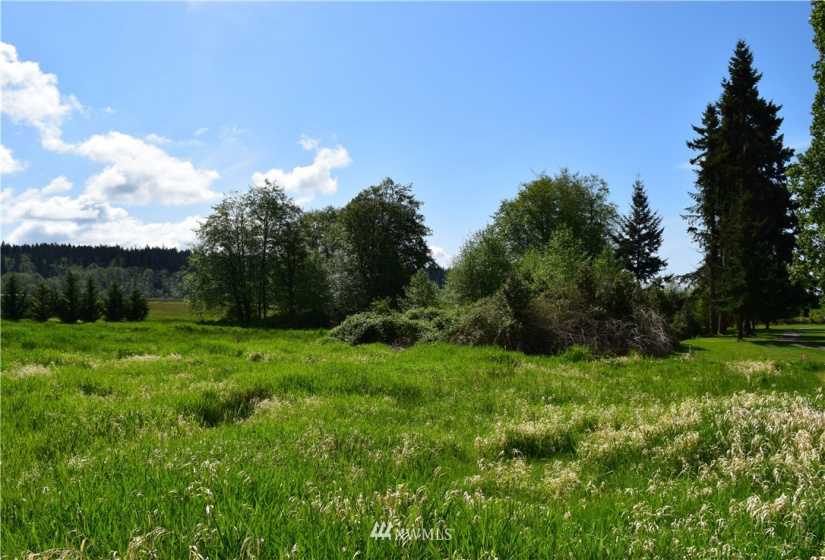 0 Mills Drive, Langley, Washington 98249, ,Land,For Sale,Mills Drive,NWM1882542