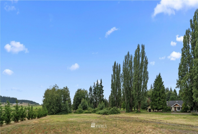 0 Mills Drive, Langley, Washington 98249, ,Land,For Sale,Mills Drive,NWM1882542