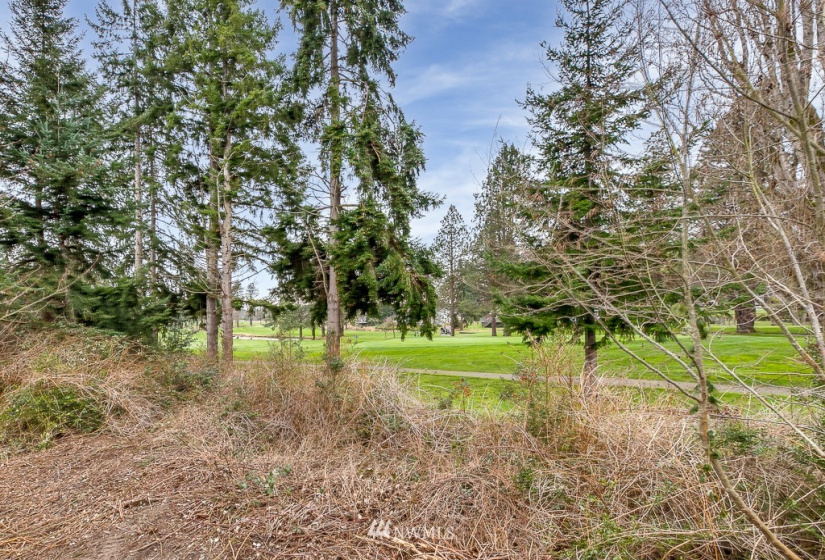 0 Mills Drive, Langley, Washington 98249, ,Land,For Sale,Mills Drive,NWM1882542