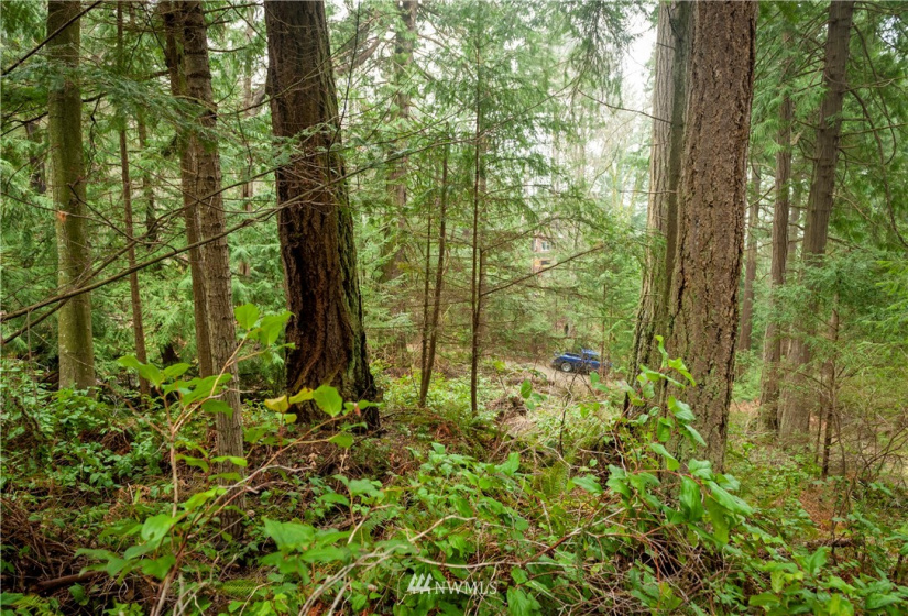 2861 Aiston Creek, Lummi Island, Washington 98262, ,Land,For Sale,LISE,Aiston Creek,NWM1882865