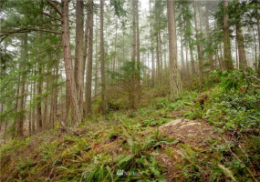 2861 Aiston Creek, Lummi Island, Washington 98262, ,Land,For Sale,LISE,Aiston Creek,NWM1882865