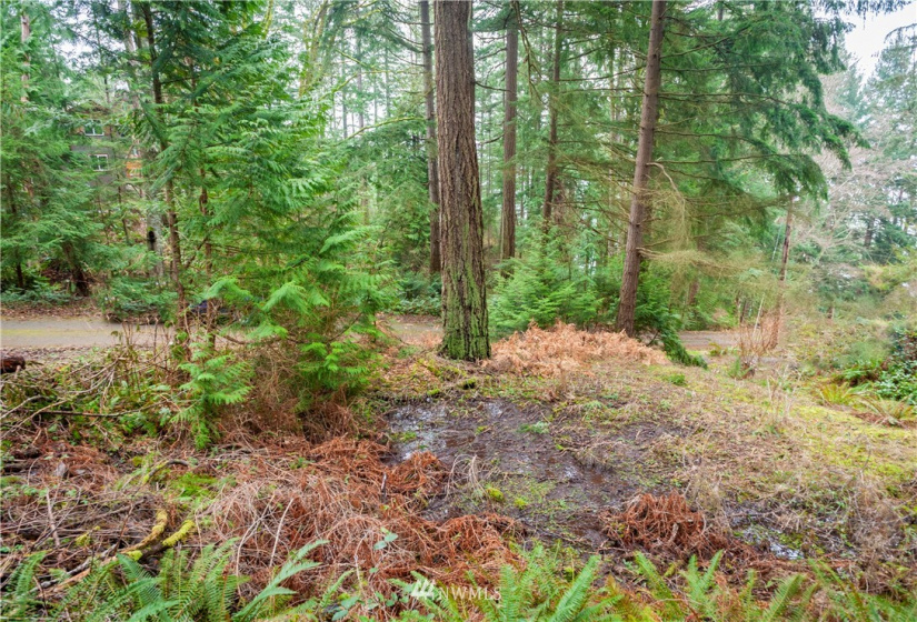 2861 Aiston Creek, Lummi Island, Washington 98262, ,Land,For Sale,LISE,Aiston Creek,NWM1882865