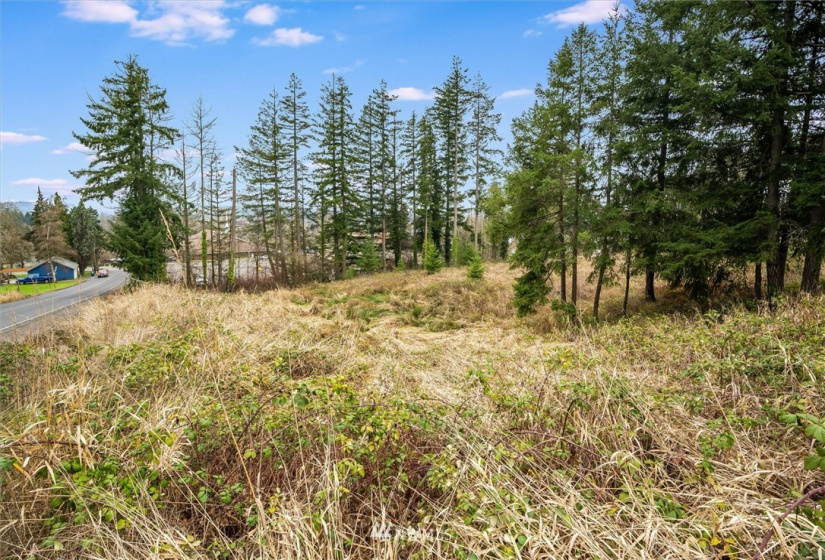 111 Wallace, Chehalis, Washington 98532, ,Land,For Sale,Wallace,NWM1880165