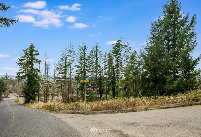 111 Wallace, Chehalis, Washington 98532, ,Land,For Sale,Wallace,NWM1880165