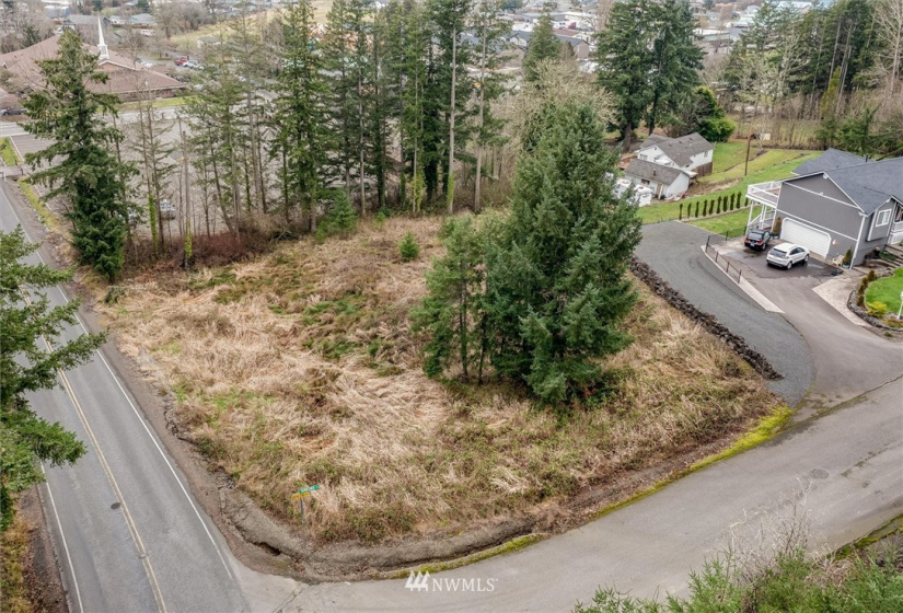 111 Wallace, Chehalis, Washington 98532, ,Land,For Sale,Wallace,NWM1880165